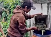 Masih Ada Kasus DBD di Salatiga, Dinkes Sebut Kesadaran Masyarakat Jadi Kunci Pengendalian