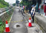 Tanggul dan Jalan di Kalibanteng Kulon Ambles, Warga Duga Ulah Ikan Sapu-sapu Rusak Talud