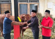 Sembelih 17 Sapi dan 20 Kambing, Kurban PDIP Jateng Sasar Wong Cilik di Tengah Ekonomi Sulit