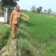 Limbah MBG