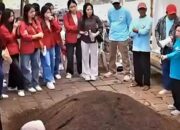 Berkah Lumpur Hitam Danau Rawapening, Warga Asinan Sulap Sedimentasi Jadi Media Tanam