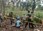 Warga Bogorejo Blora Dikejutkan Temuan Mayat Pria di Tepi Hutan, Diduga Tewas Mendadak