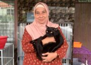 Kisah Asih Pahami Bahasa Hati Hewan, Dari Rescue Kucing Terlantar hingga Jadi Animal Communicator