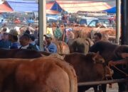 10 Hari Jelang Idul Adha, Pasar Hewan Ambarawa Masih Sepi
