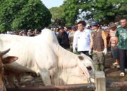 Jelang Idul Adha, Bupati Blora Sidak Pasar Pon Pastikan Hewan Kurban Sehat
