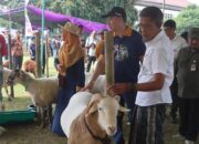 Jateng Dorong Swasembada Protein, Peternak Lokal Dinilai Butuh Dukungan Kementan
