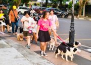 Mall Pet Friendly Timbulkan Pro dan Kontra, Komunitas Anjing Semarang: Kami Ingin Diterima Masyarakat