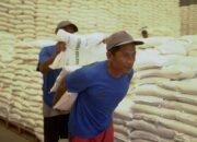 Perum Bulog Kembali Salurkan Bantuan Pangan, Bagikan ke 139 Ribu Lebih Warga Blora