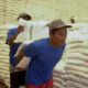 Bantuan Pangan Bulog