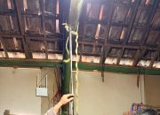 Diduga Kesulitan Ekonomi, Ibu Rumah Tangga di Kradenan Blora Gantung Diri, Ditemukan Suami-Anak di Ruang Tamu