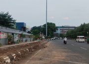 Pohon Simpang Lima Tidak Ditebang, Dikarantina Sementara untuk Perawatan