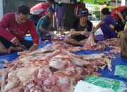 Baznas Kabupaten Semarang Kelola Penyembelihan 93 Kambing Dam Haji, Salurkan Daging ke 1.300 Fakir Miskin