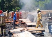 Diduga Korsleting Listrik, Gudang Triplek di Tengaran Semarang Terbakar, Kerugian Ditaksir Ratusan Juta