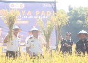 Rutan Kelas IIB Blora Gelar Panen Raya Padi, Warga Binaan Manfaatkan Metode Tabur Benih Saat Tanam