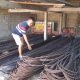 Material Blora