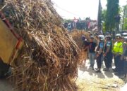 Tagih Janji Bulog, Petani Tebu Blora Tumpahkan 18 Truk Tebu di Depan Pabrik Gula