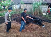 Diduga Berawal dari Bakar Sampah, Rumah dan Kandang di Blora Ludes Terbakar