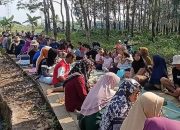 Petani Kauman Kidul Lestarikan Tradisi Susuk Wangan dan Dawuhan, Wujud Syukur Hasil Panen Melimpah