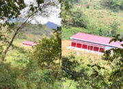 Viral Gerai Koperasi Merah Putih Disebut di Tengah Hutan, Camat Wonogiri Beri Penjelasan