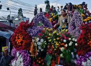 Bukan Sekadar Komoditas, Bunga di Bandungan Punya Sejarah Panjang, Warisan Budaya Sejak Abad ke-7