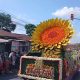 Festival Bunga Bandungan 2026