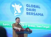Jateng Makin Dilirik Investor, Peternakan Sapi Perah Senilai Rp1,2 Triliun Mulai Dibangun di Brebes