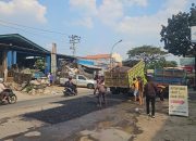Warga Keluhkan Jalan Kalipancur Rusak Parah, Truk Tambang Jadi Penyebabnya
