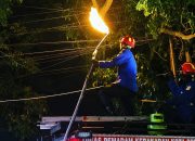 Evakuasi Ular hingga Biawak Tembus 1.000 Kasus, Damkar Semarang Tetap Siaga Meski Anggaran Terbatas