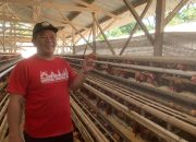 Peternak Ayam di Kendal Terhimpit, Harga Pakan Naik Sementara Harga Telur Terus Turun