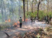 Perhutani Blora Gelar Simulasi Penanganan Karhutla, Latih Respons Cepat Hadapi Musim Kemarau
