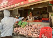 MBG Libur, Harga Ayam Potong-Telur Kompak Turun Sejak Pekan Lalu