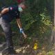 Polisi Selidiki Penemuan Jasad Bayi yang Dikubur di TPU Petung Bawen