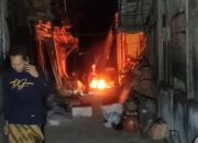 Bikin Resah Warga, Sarang Tawon Vespa 5 Kilogram Dievakuasi Damkar Blora