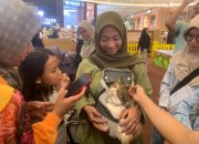 Cerita Pemilik Anabul, Kucing Gemas dengan Ikatan Emosional Seperti Anak Sendiri