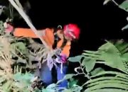 Jatuh Saat Amati Reptil, Tim SAR Evakuasi Pemuda dari Jurang Sedalam 40 Meter di Curug Lawe