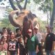 Jangan Sampai Anak Cucu Cuma Lihat Foto, Semarang Zoo Soroti Nasib Gajah Sumatera