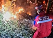 Diduga Berawal dari Bakar Sampah, Kebakaran Hanguskan 10 Hektare Lahan di Pringapus Semarang