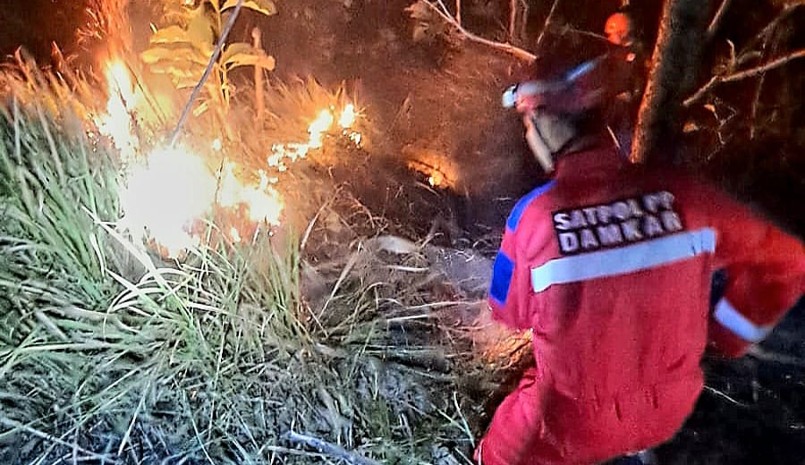 Kebakaran Lahan Pringapus
