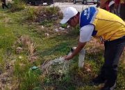 Imbas Kemarau Panjang, Pemkab Blora Pompa Air Sungai Lusi Selamatkan Lahan Jagung Mengering