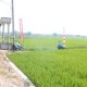 Ojek Gabah