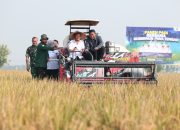 Hari Jadi ke-81, Jawa Tengah Teguhkan Peran Lumbung Pangan, Dari Sawah untuk Meja Makan Rakyat Indonesia