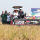 Sawah Jawa Tengah