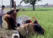 Viral Motor Kopdes Merah Putih Nyemplung ke Sawah di Klaten, Ternyata Gara-gara Gas Nyantol
