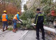 Truk Muatan Tanah Tabrak Tiang Listrik di Blora, Jalan Raya Sempat Macet Panjang