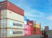 Jangan Asal Pilih Harga Murah, Ini 7 Hal Penting Sebelum Sewa Container untuk Bisnis