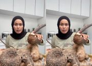 Kimpul Viral di TikTok, Kenalan dengan @black.sheep8208 yang Bikin Pangan Lokal Jadi Trending