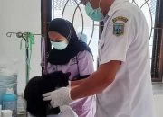 Vaksinasi Anti Rabies Gratis di Kabupaten Semarang Mulai Hari Ini, Cek Lokasi Lengkapnya