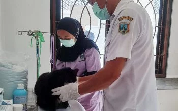 Vaksinasi Anti Rabies di Kabupaten Semarang