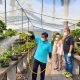 Wah, Ribuan Bonsai Asal Jawa Tengah Berlayar Hiasi Negeri Tulip Belanda