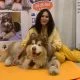 Bersua dengan Star Denver si Anjing Alaskan Malamute Giant, Selebdog asal Kota Semarang